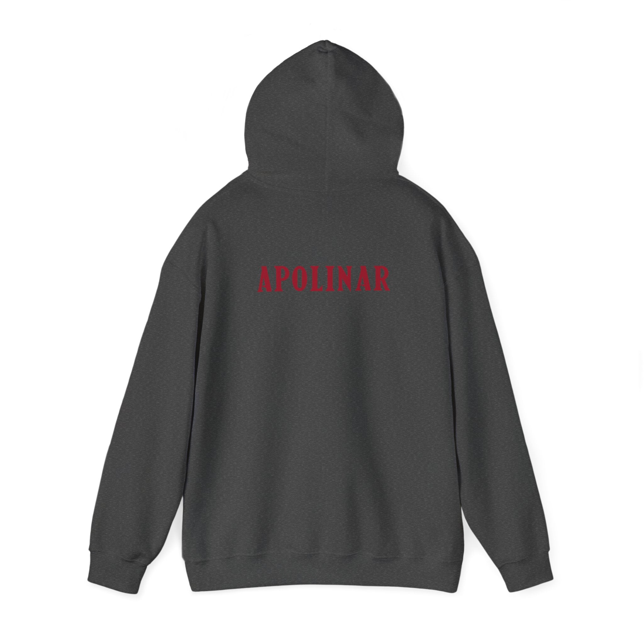 Beto Apolinar Soccer Hoodie