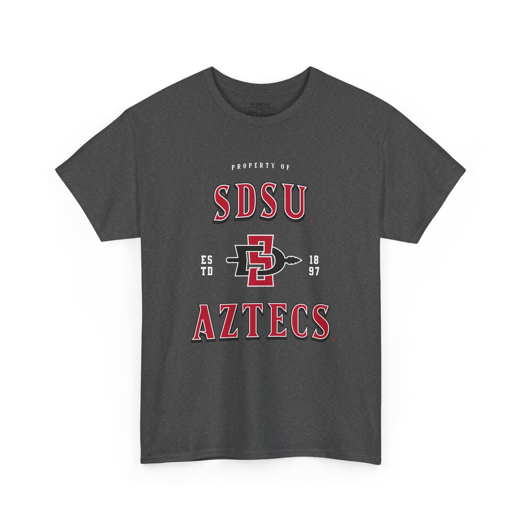 San Diego State Tee