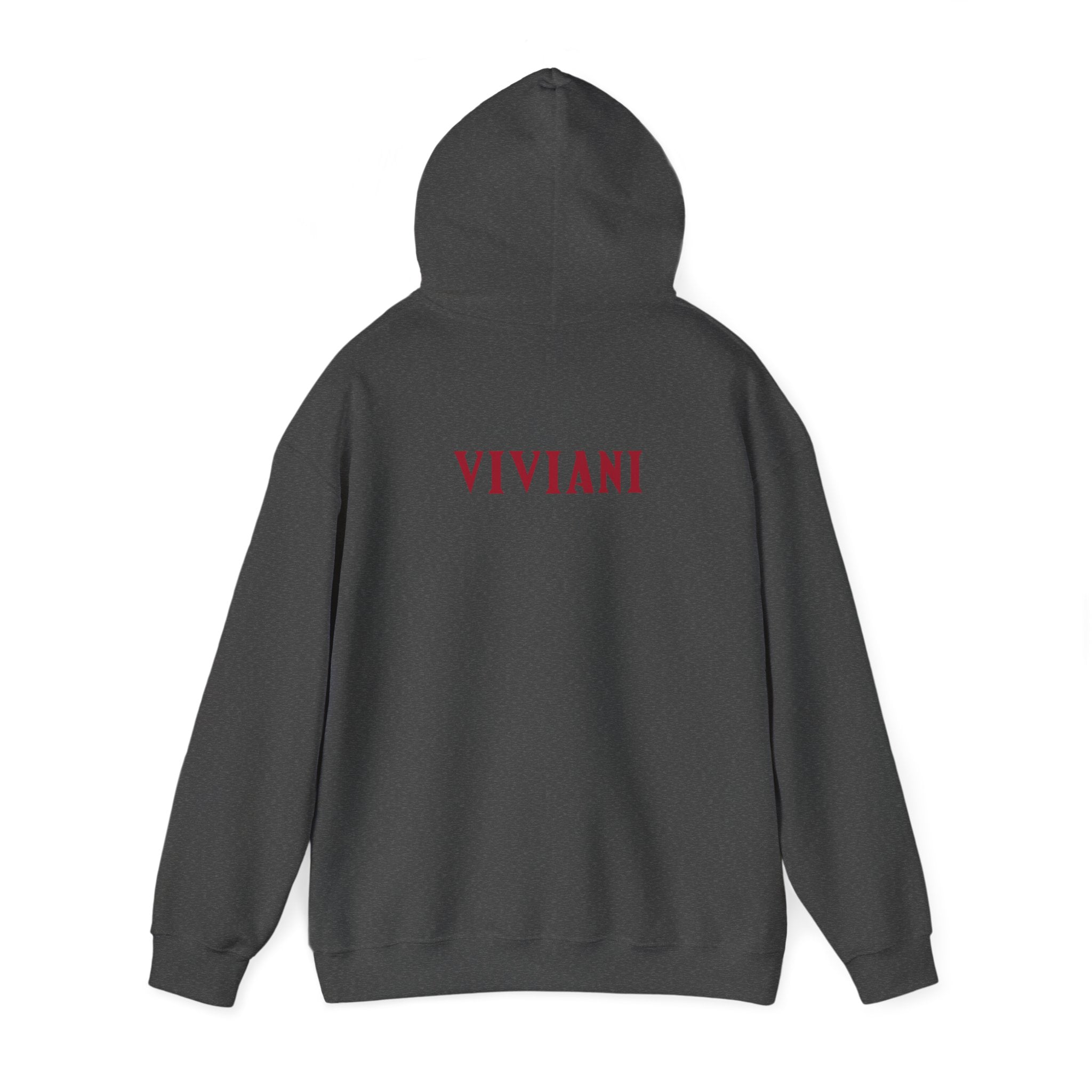 Tristan Viviani Soccer Hoodie