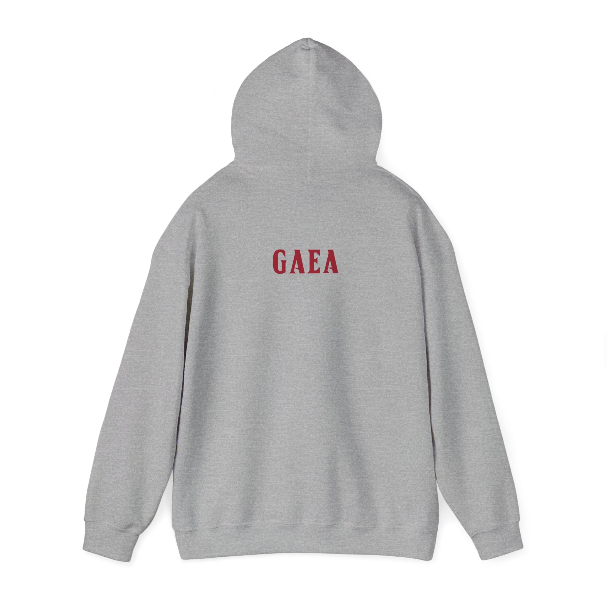 Ryan Gaea Football Hoodie