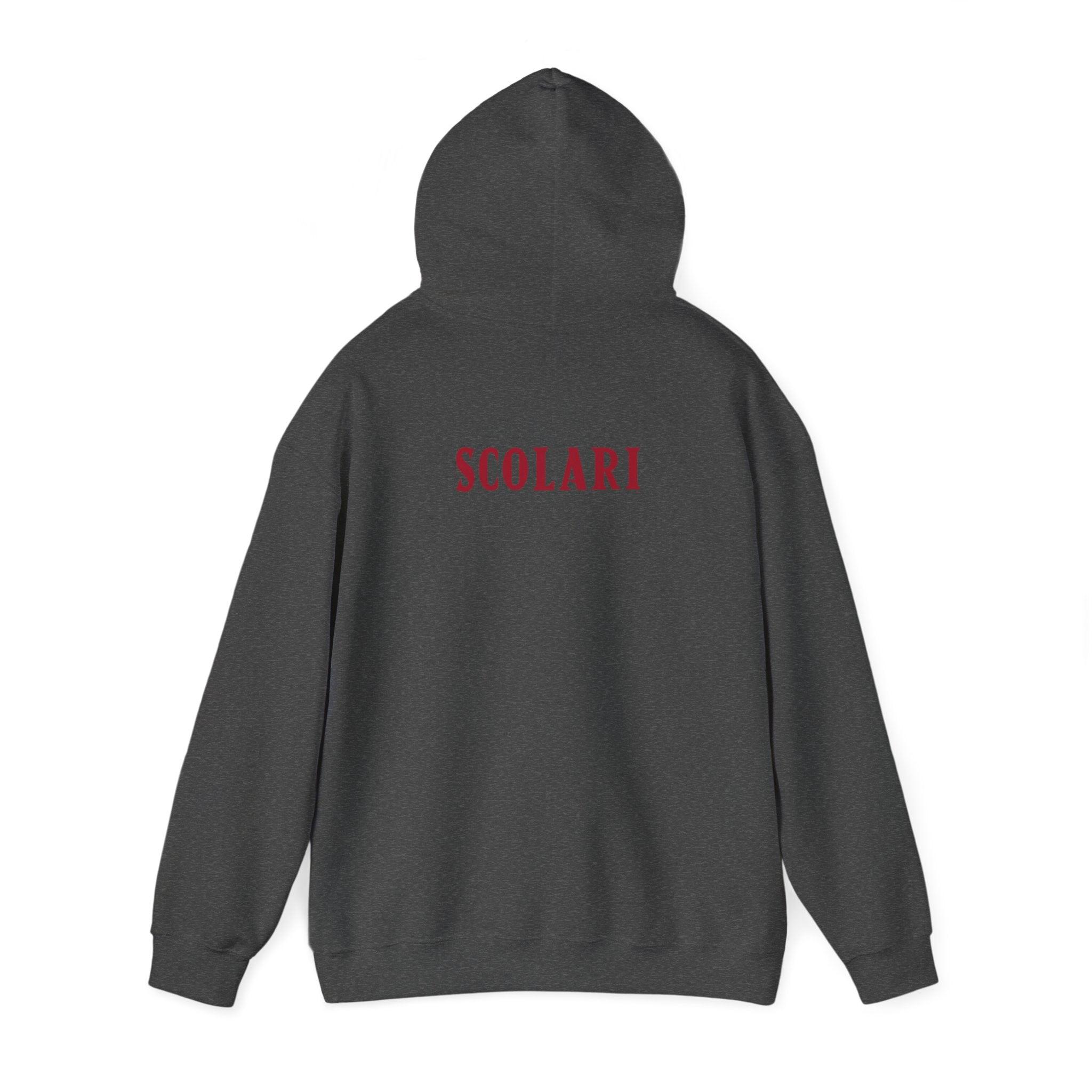 Ben Scolari Football Hoodie