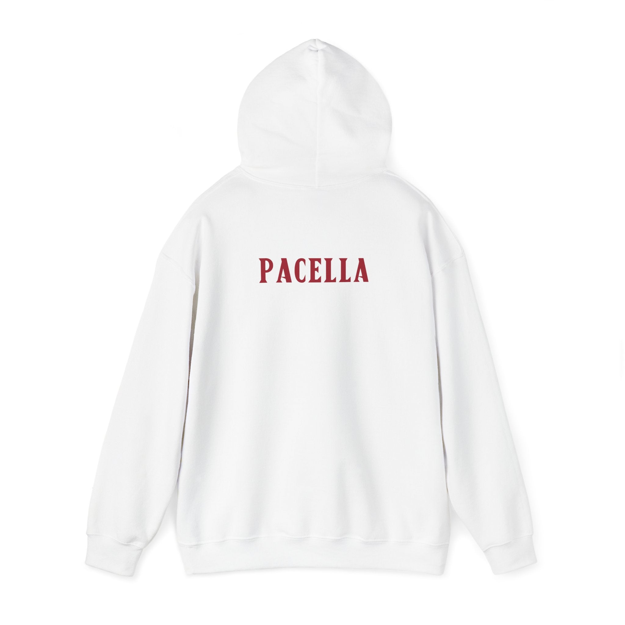 Daniel Pacella Soccer Hoodie